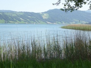 lake