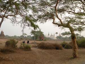 23_landscape stupas