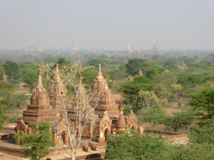 23_temple landscape