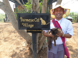 Burmese Cat Village